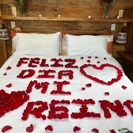 Casa Del Rio En Mindo Bed & Breakfast Dış mekan fotoğraf