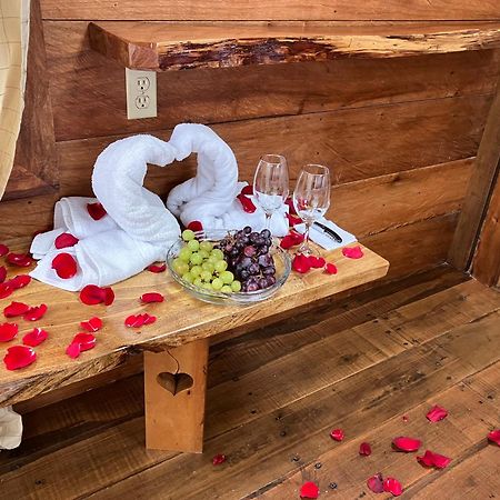 Casa Del Rio En Mindo Bed & Breakfast Dış mekan fotoğraf
