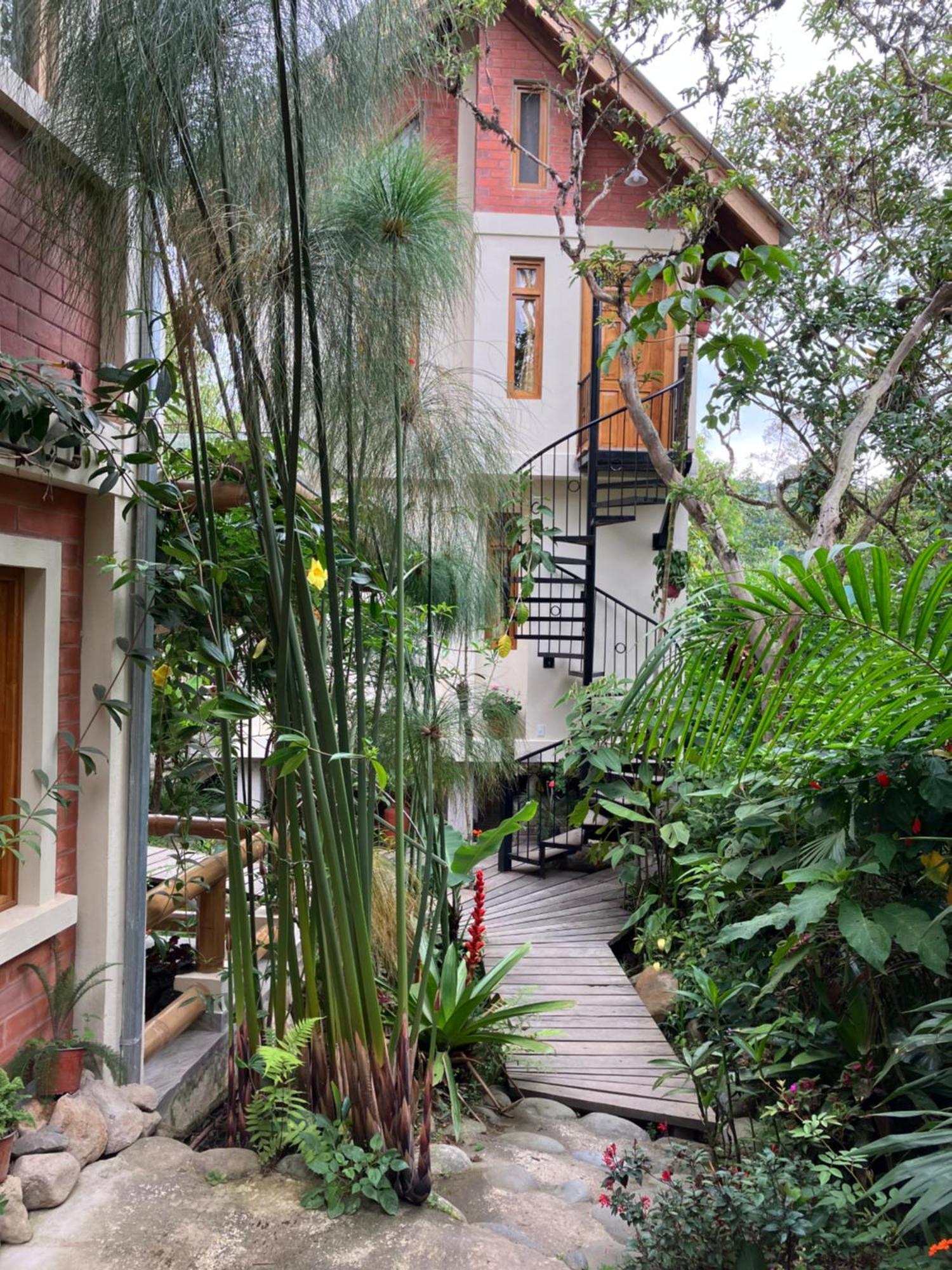 Casa Del Rio En Mindo Bed & Breakfast Dış mekan fotoğraf