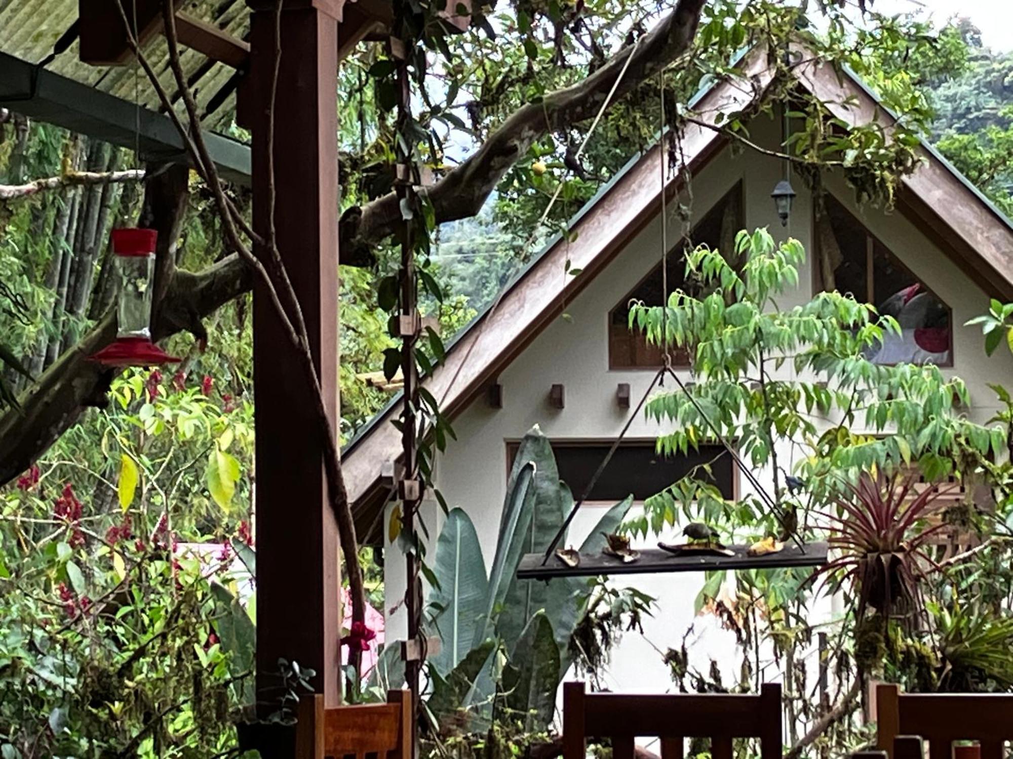 Casa Del Rio En Mindo Bed & Breakfast Dış mekan fotoğraf