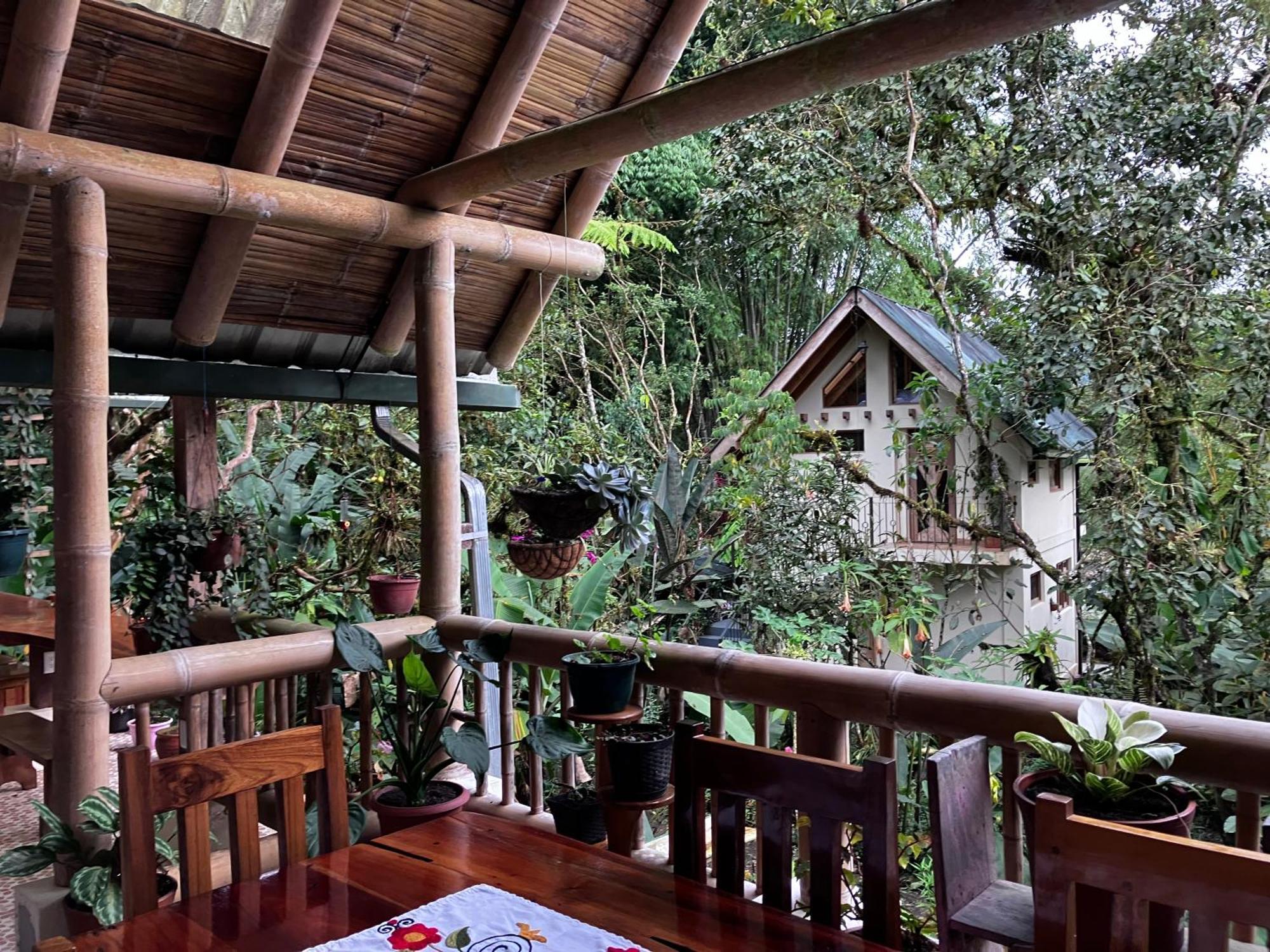 Casa Del Rio En Mindo Bed & Breakfast Dış mekan fotoğraf