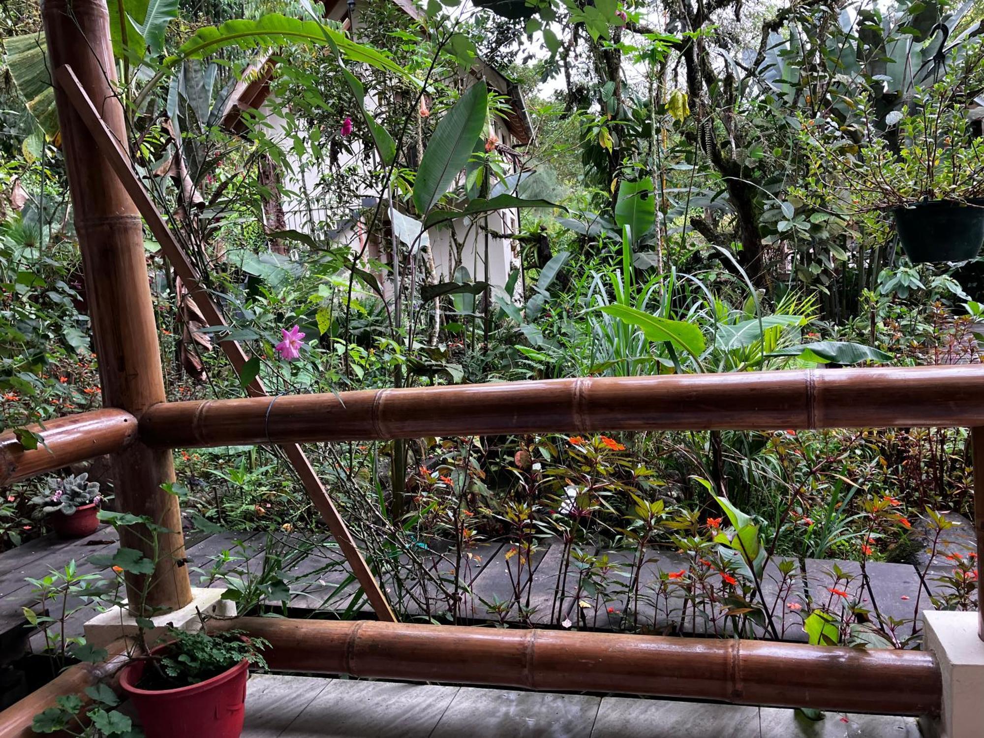 Casa Del Rio En Mindo Bed & Breakfast Dış mekan fotoğraf