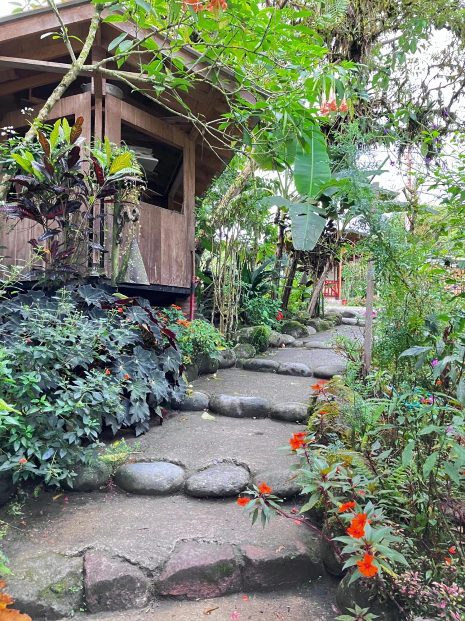 Casa Del Rio En Mindo Bed & Breakfast Dış mekan fotoğraf