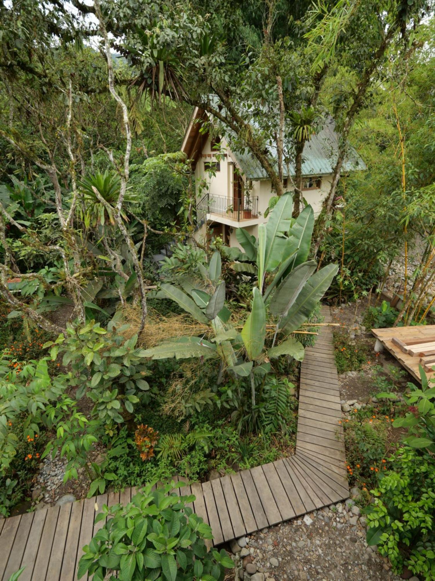 Casa Del Rio En Mindo Bed & Breakfast Dış mekan fotoğraf
