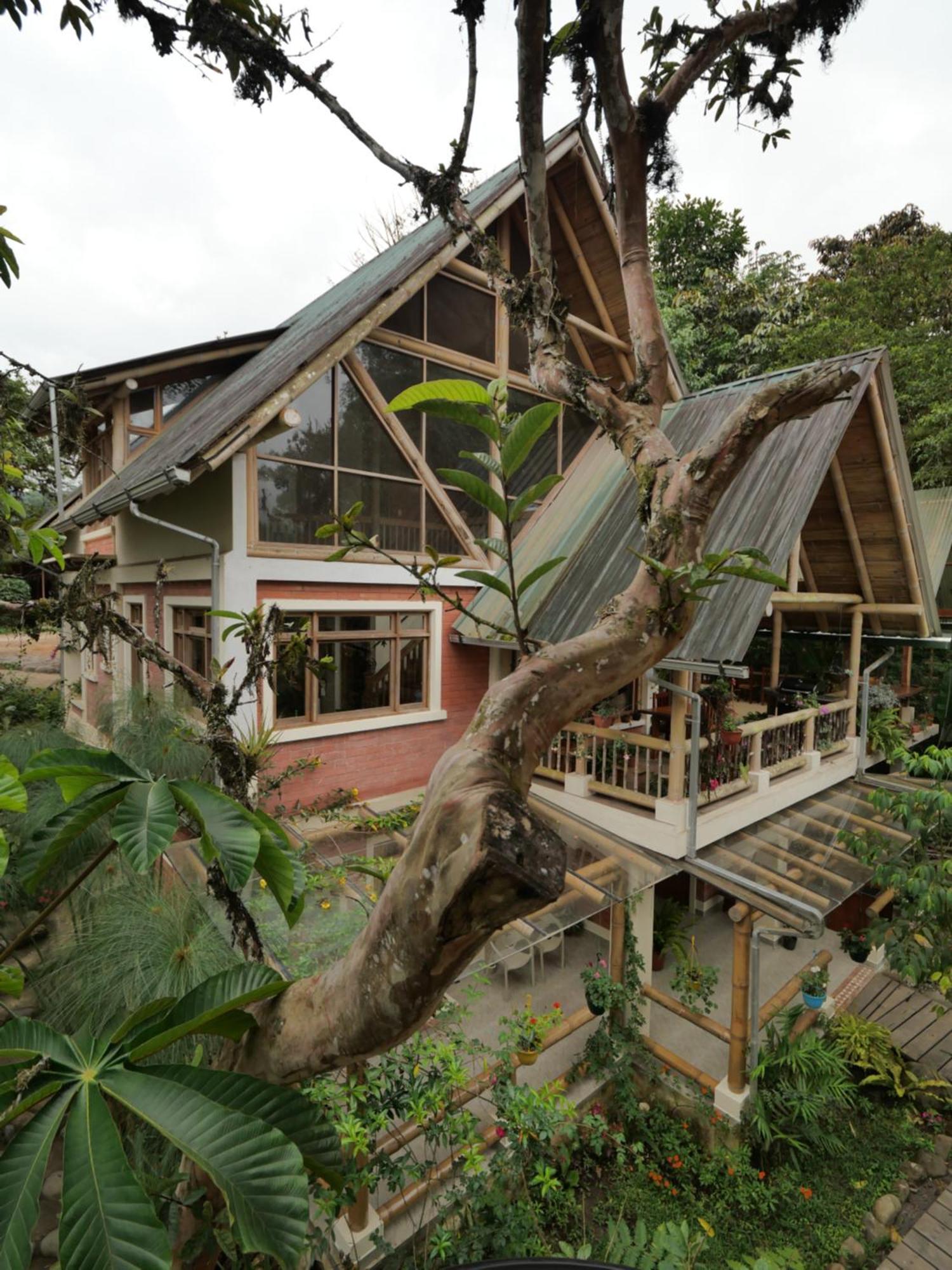 Casa Del Rio En Mindo Bed & Breakfast Dış mekan fotoğraf
