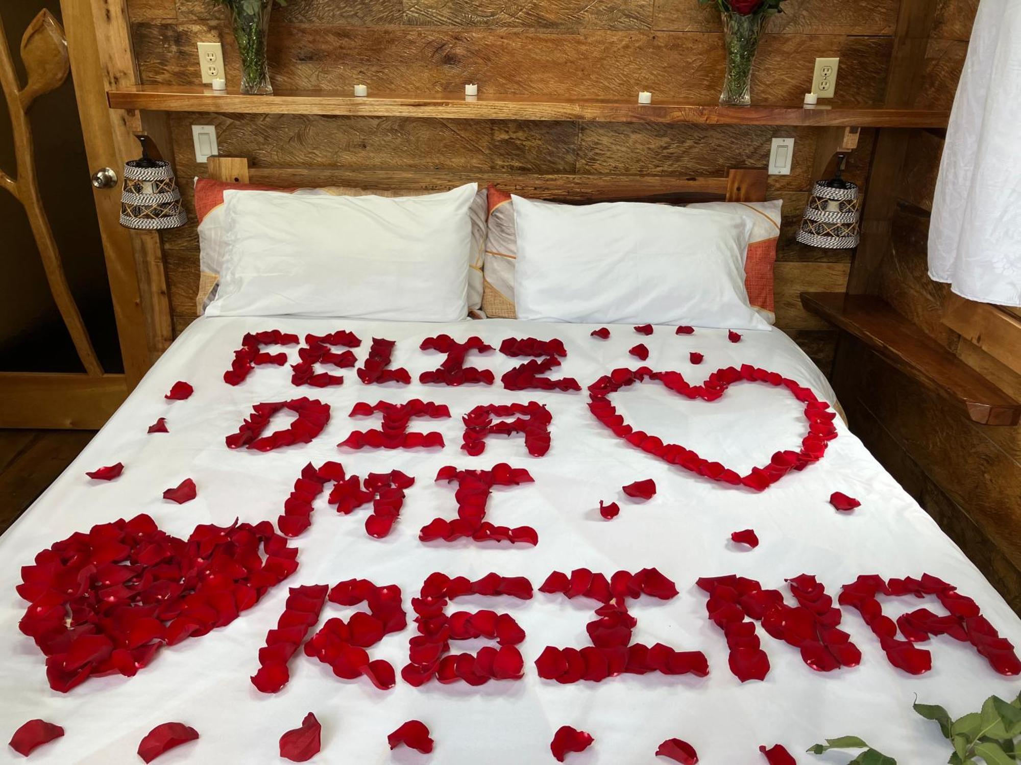 Casa Del Rio En Mindo Bed & Breakfast Dış mekan fotoğraf